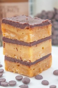 A recipe for #paleo No Bake SunButter Bars- #vegan and #glutenfree too -thebigmansworld.com