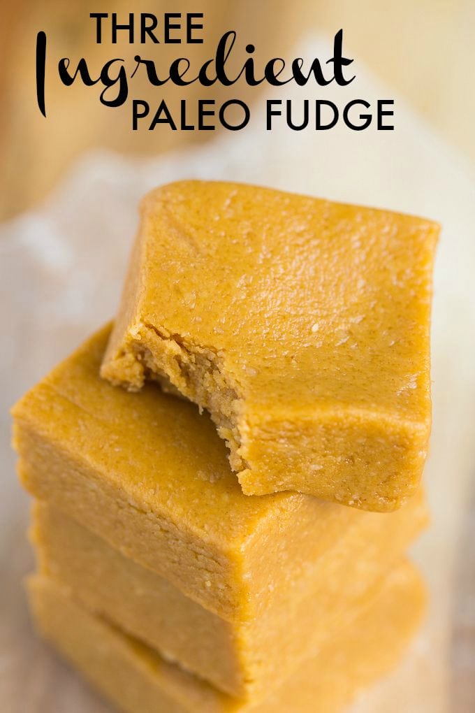 Three Ingredient No Bake Fudge which melts in your mouth and takes 5 minutes! Paleo, vegan and gluten free too! 