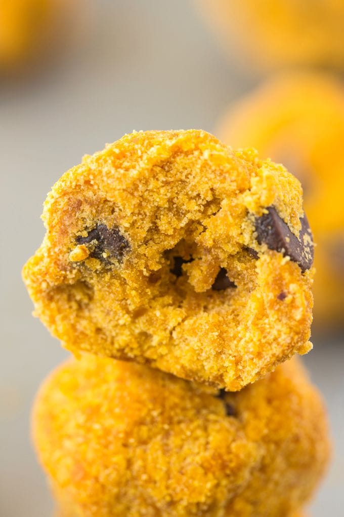 Healthy 3 Ingredient Pumpkin Cake Pops- Three easy ingredients and 10 minutes- You be in control of the texture- Soft or dense! High in fiber and very low in fat! {Vegan, gluten-free + paleo friendly} - thebigmansworld.com