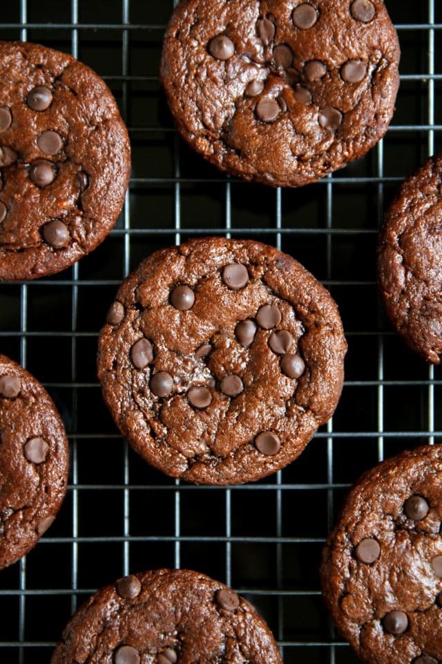 flourless chocolate zucchini muffins