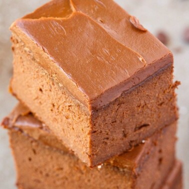 Healthy 3 Ingredient FLOURLESS Butternut Squash Fudge Brownies- SO easy, simple and fudgy, only three ingredients! NO butter, NO flour, NO sugar, NO grains and NO oil needed at all! You can use fresh squash or canned squash! {vegan, gluten free, paleo recipe}- thebigmansworld.com