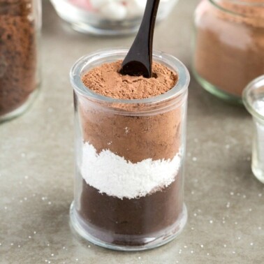 Healthy Homemade High Protein Hot Chocolate Mix (V, GF, Paleo)- An easy, 3 ingredient hot cocoa mix completely sugar free and dairy free- Just add water for a cozy, comforting and guilt-free drink! Perfect for gifts, DIY and holidays! {vegan, gluten free, paleo recipe}- thebigmansworld.com