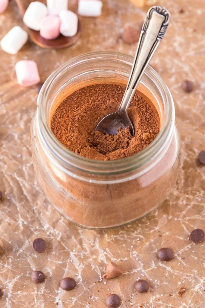 3 Ingredient Sugar Free Hot Chocolate Cocoa Mix (V, GF, Paleo)- Easy, healthy, creamy hot chocolate mix perfect for gifting and made with NO nasties or fillers- Just add water or milk! {vegan, gluten free, paleo recipe}- thebigmansworld.com