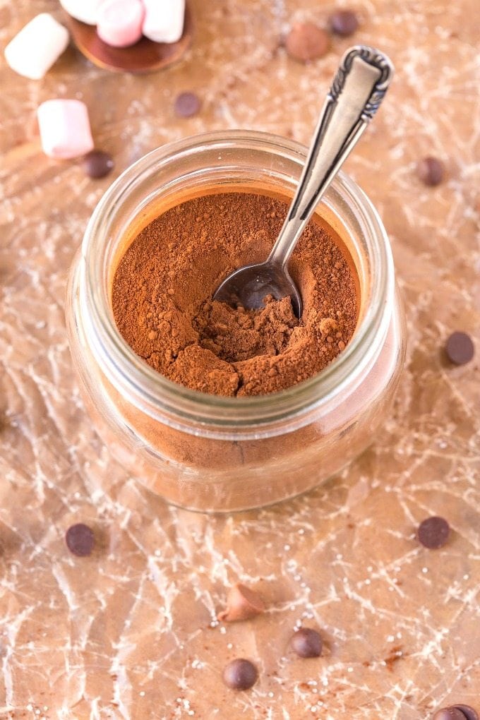 3 Ingredient Sugar Free Hot Chocolate Cocoa Mix (V, GF, Paleo)- Easy, healthy, creamy hot chocolate mix perfect for gifting and made with NO nasties or fillers- Just add water or milk! {vegan, gluten free, paleo recipe}- thebigmansworld.com