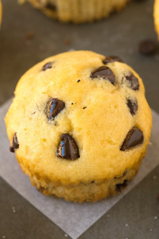 5 Ingredient Chocolate Chip Protein Muffins (GF, V, Paleo)- Muffin sani e soffici con 5 ingredienti, carichi di gocce di cioccolato e 100% senza sensi di colpa e con pochi carboidrati! {sugar-free, vegan, gluten free recipe}- thebigmansworld.com