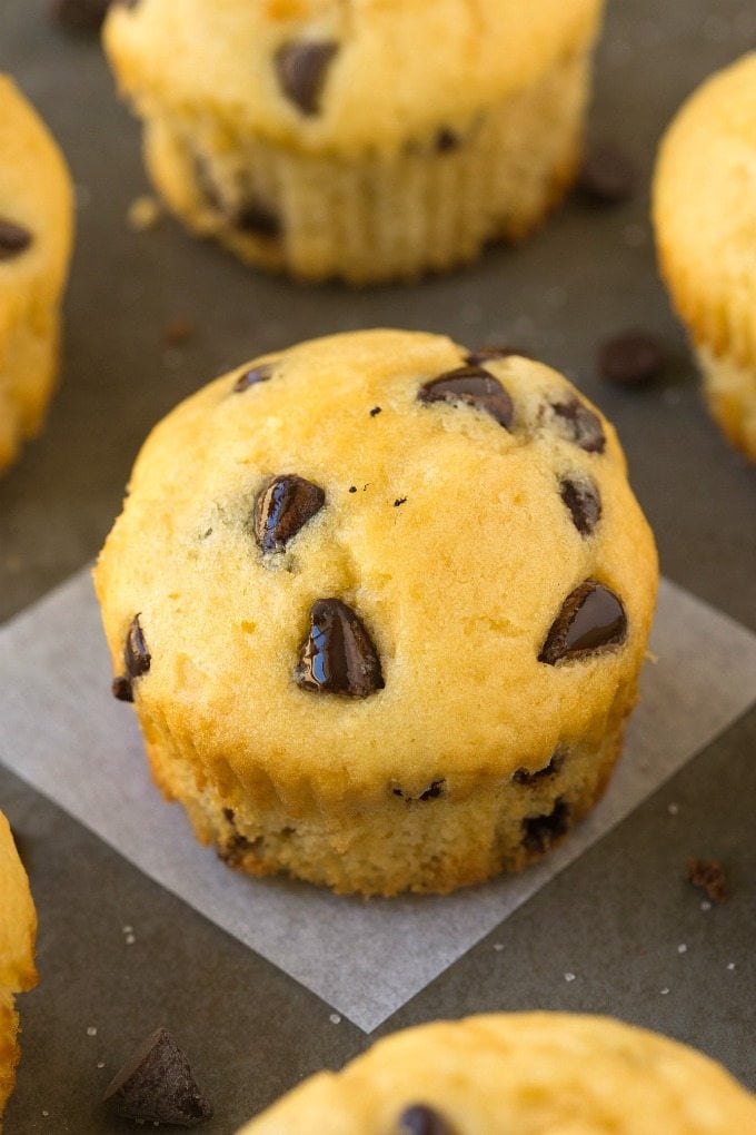 5 Ingredient Chocolate Chip Protein Muffins (GF, V, Paleo)- Muffin sani e soffici con 5 ingredienti carichi di gocce di cioccolato e 100% senza sensi di colpa e low carb! {sugar-free, vegan, gluten free recipe}- thebigmansworld.com