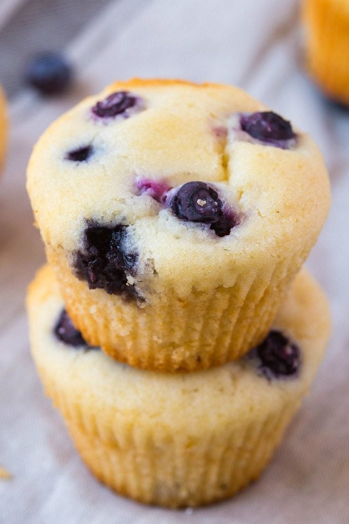 Fat Free Sugar Free Blueberry Muffins (V, GF, DF)- Moist and fluffy muffins which are tender on the outside- Made with ZERO fat and ZERO sugar, they are completely guilt-free! Easy, one bowl snack and healthy baked good! {vegan, gluten free, low calorie recipe}- thebigmansworld.com