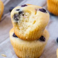 fat free blueberry muffins