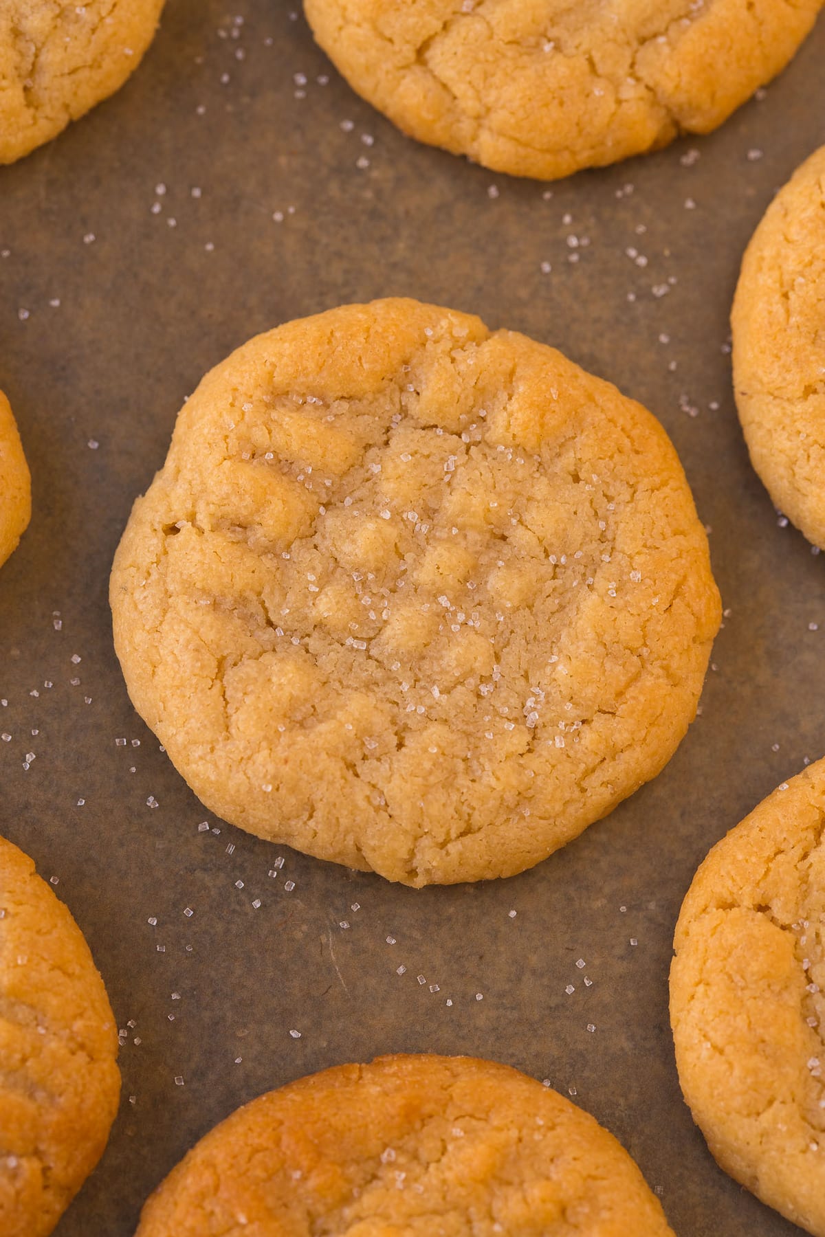 3 Ingredient flourless sugar free peanut butter cookies made eggless and topped with sea salt