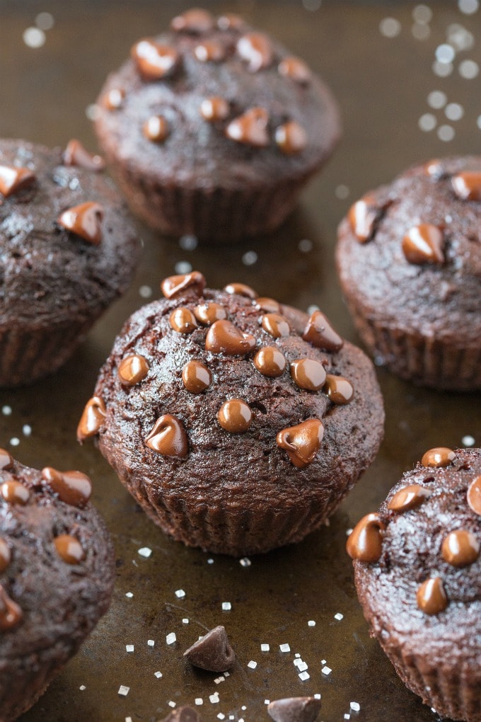 Easy Flourless Gluten Free Vegan Blender Chocolate Muffins topped with chocolate chips