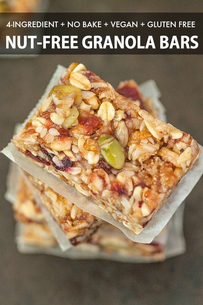 homemade vegan no bake granola bars topped with dried fruit