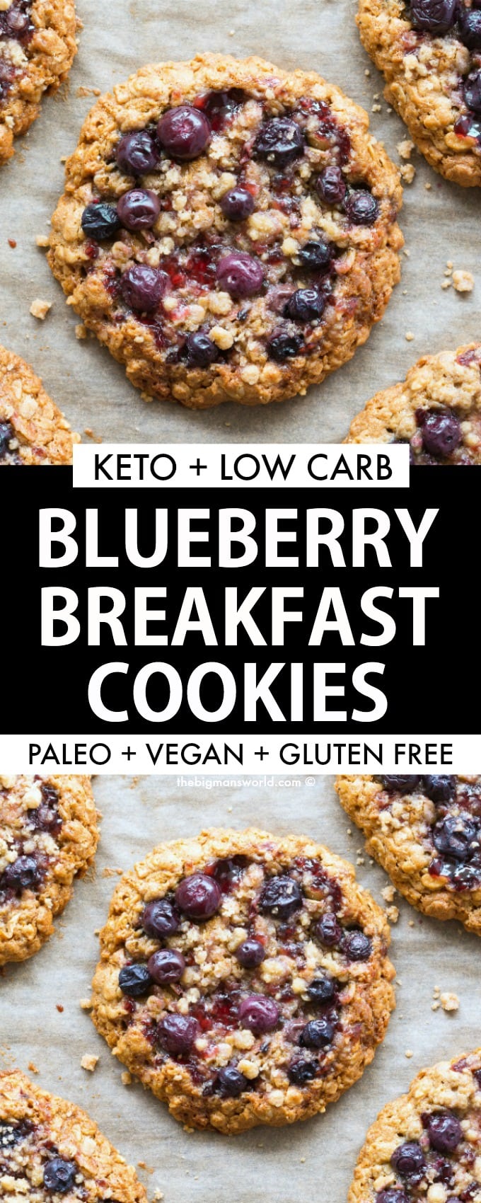 Vegan Blueberry Breakfast Cookies (Paleo, Keto Option)