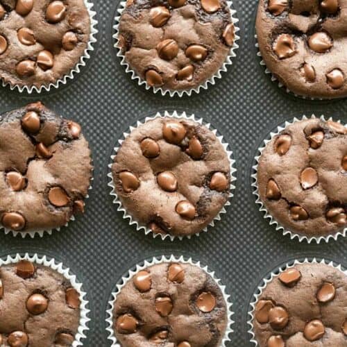 sugar free chocolate muffins
