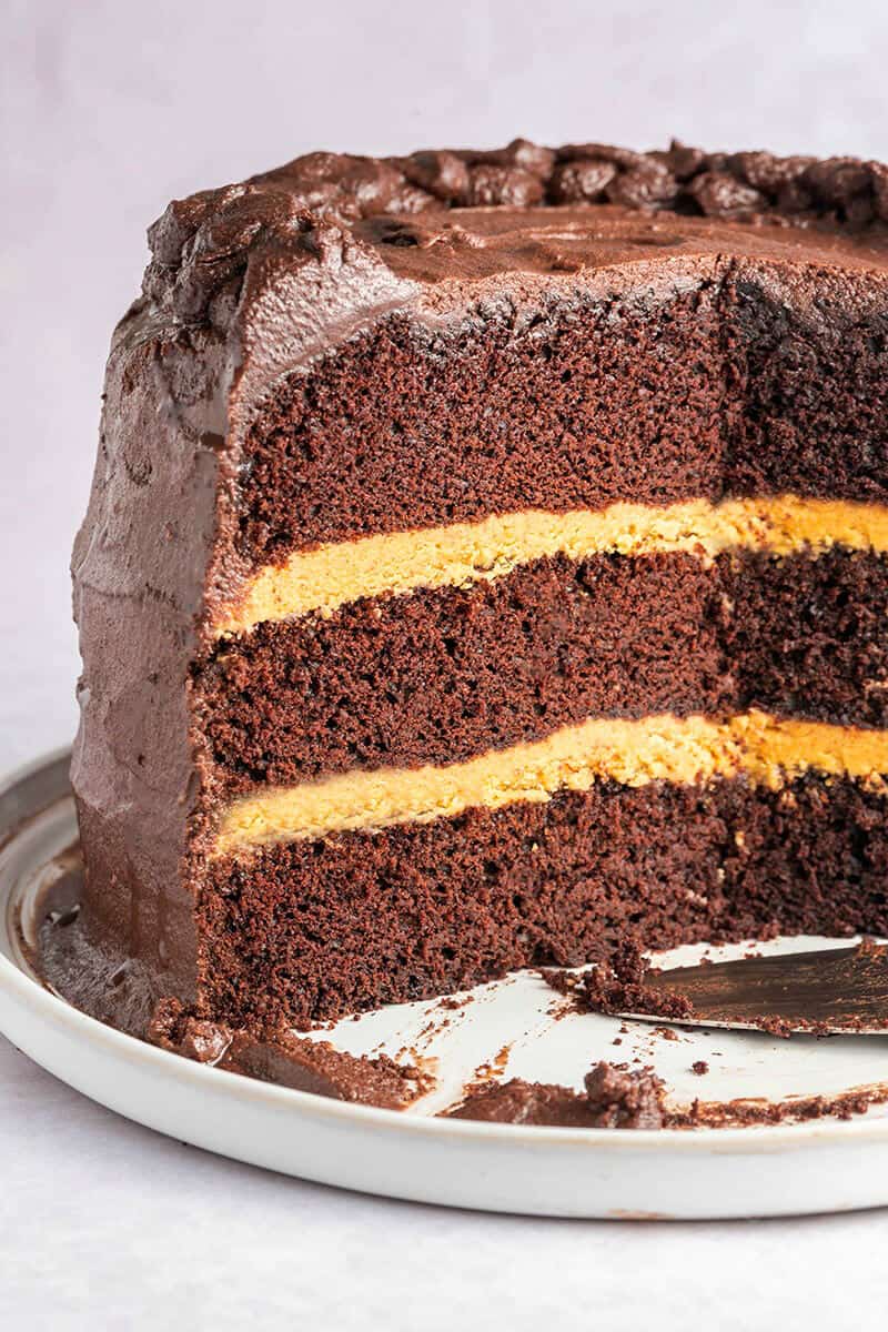 chocolate cake with peanut butter frosting