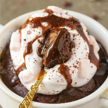 hot chocolate mug cake