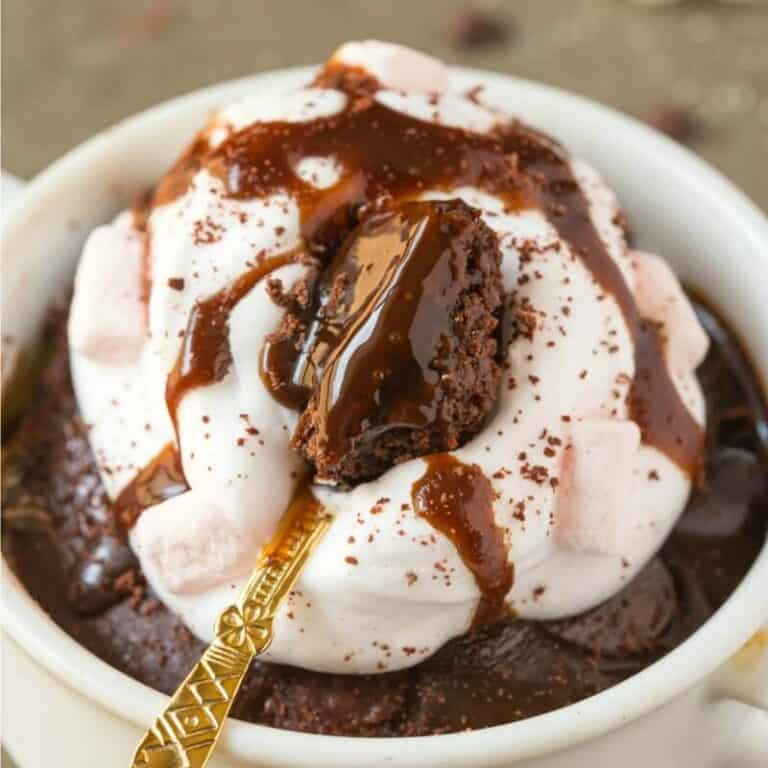 Hot Chocolate Mug Cake {No eggs} The Big Man's World