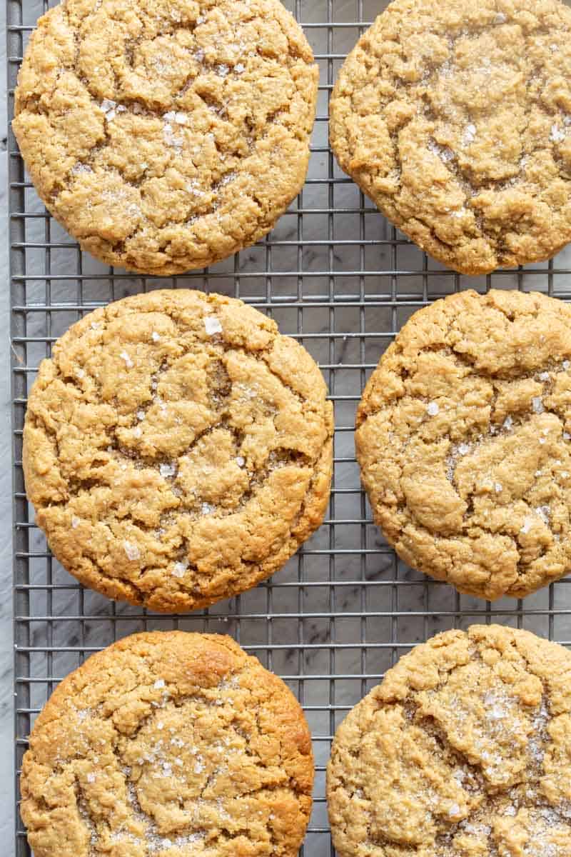 low carb cream cheese cookies