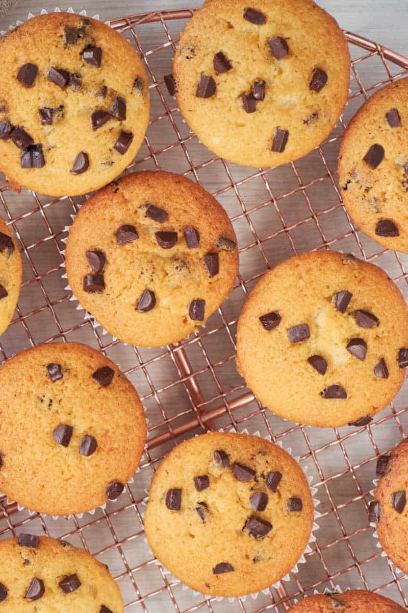 low carb chocolate chip muffins