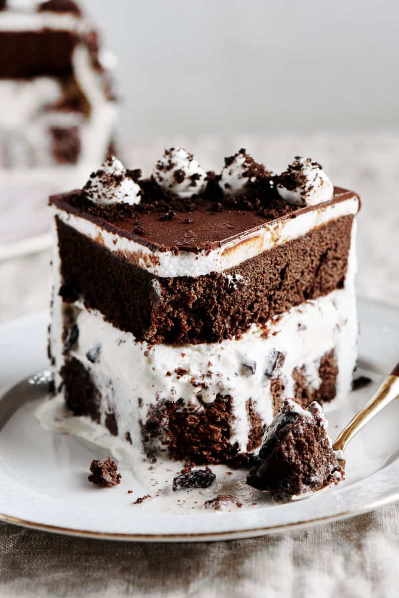 Best Death By Chocolate Ice Cream Cake Recipe - How to Make Death By  Chocolate Ice Cream Cake