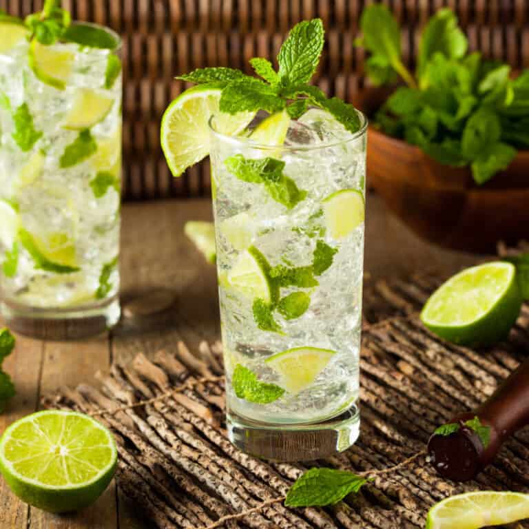 Keto Mojito {6 Flavors} - The Big Man's World