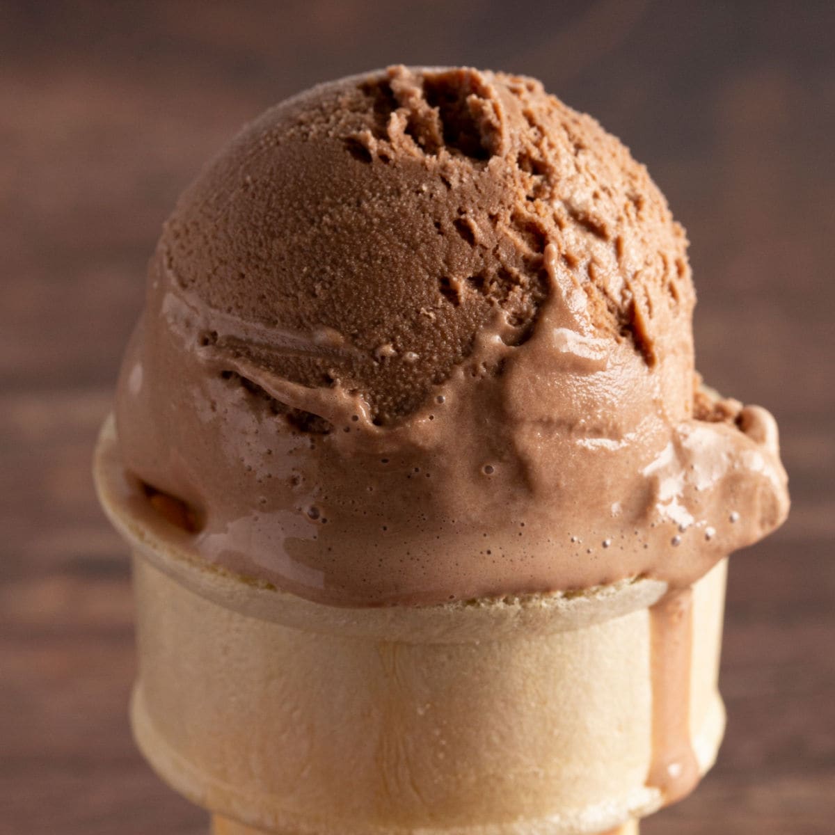 The Lighter Side  Reduced Fat/No Sugar Added Chocolate Ice Cream