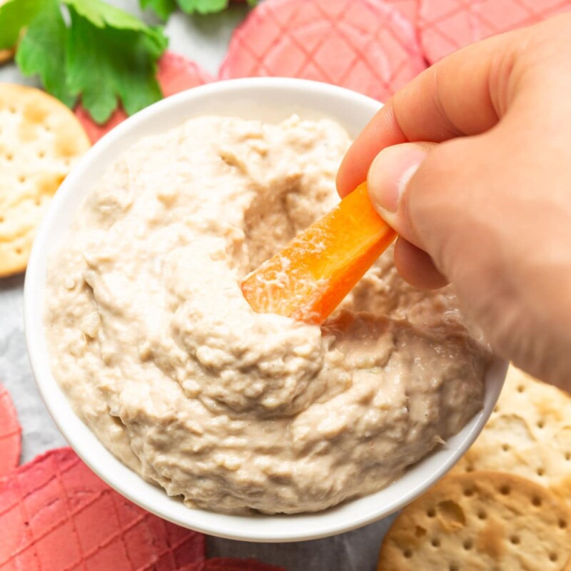 The BEST Smoked Tuna Dip Ready in Just 2 Minutes