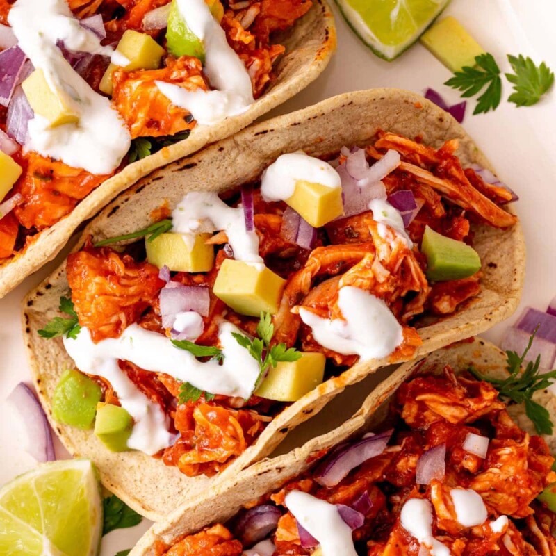 15Minute Chicken Tinga {Restaurant Style} The Big Man's World