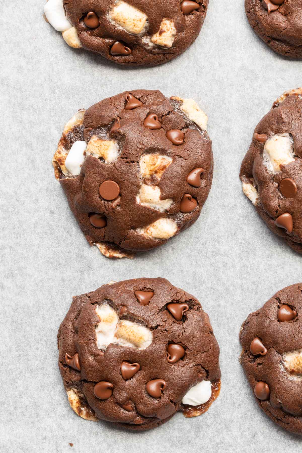 hot cocoa cookie. 