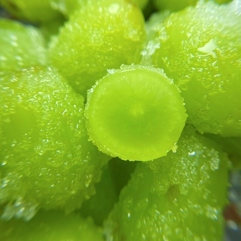 3Ingredient Candy Grapes The Big Man's World