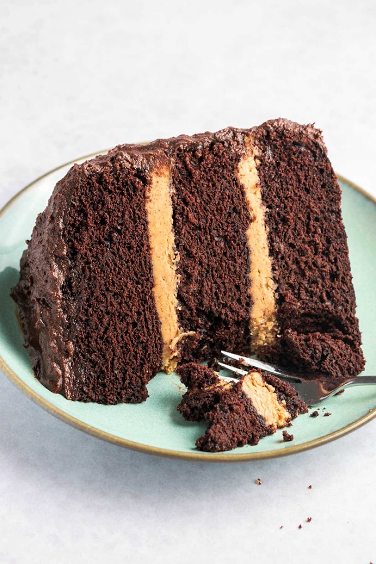 chocolate cake with peanut butter frosting.