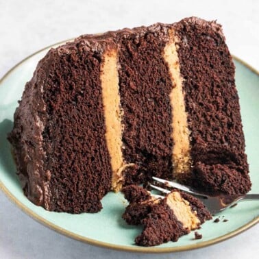 chocolate peanut butter cake recipe.