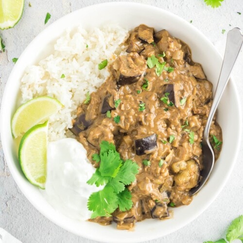 Eggplant Curry (Aubergine Curry) The Big Man's World