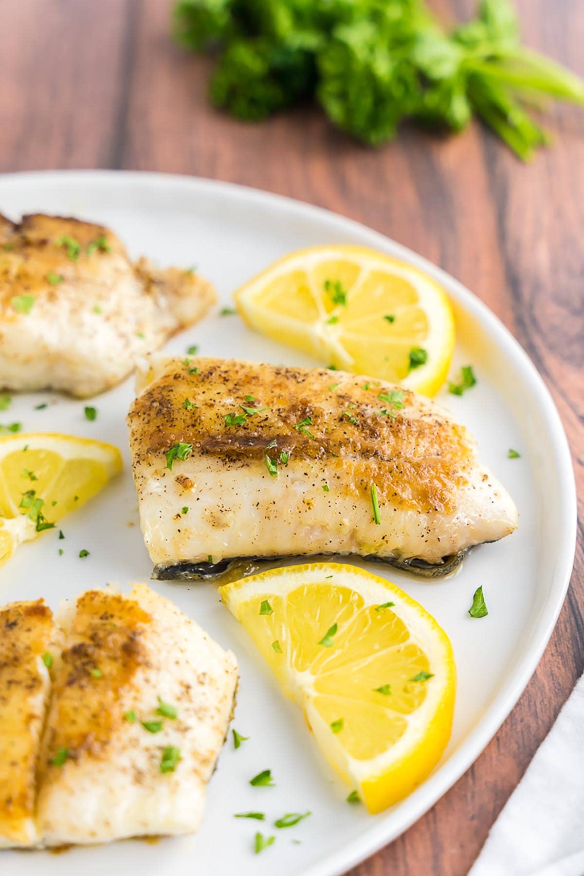 grilled haddock.