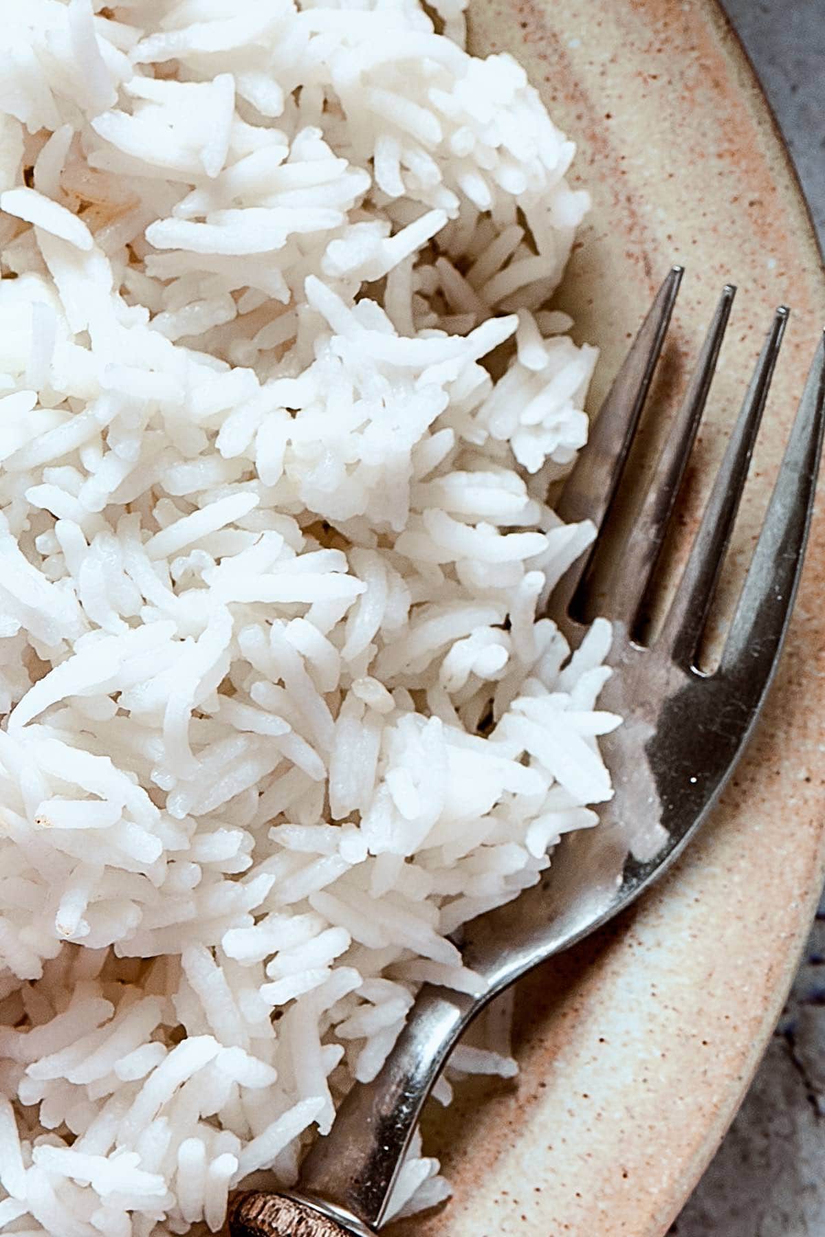 how to make coconut milk rice.
