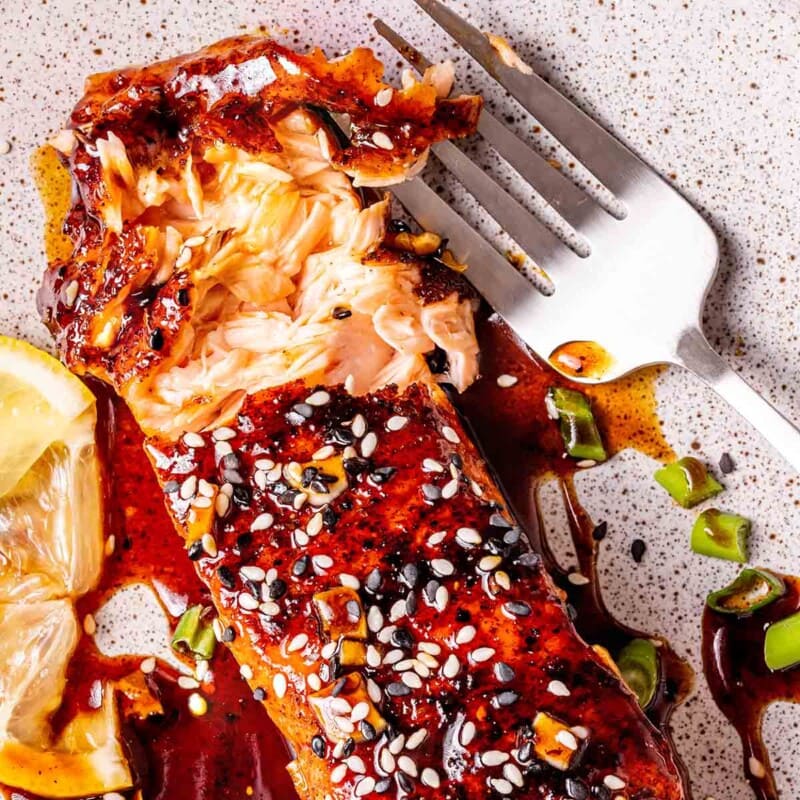 Honey Garlic Salmon - The Big Man's World