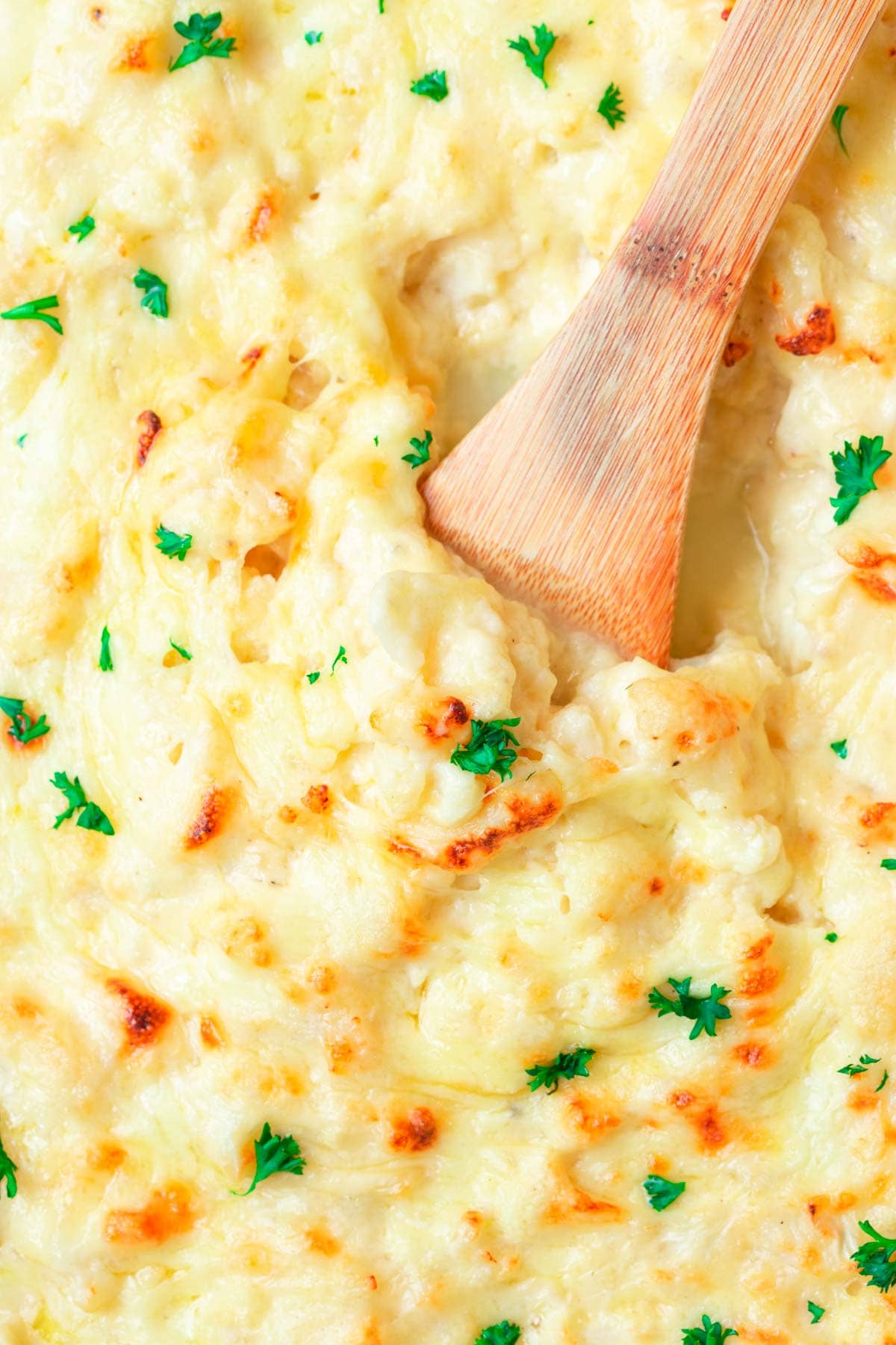 creamy cauliflower mac and cheese.