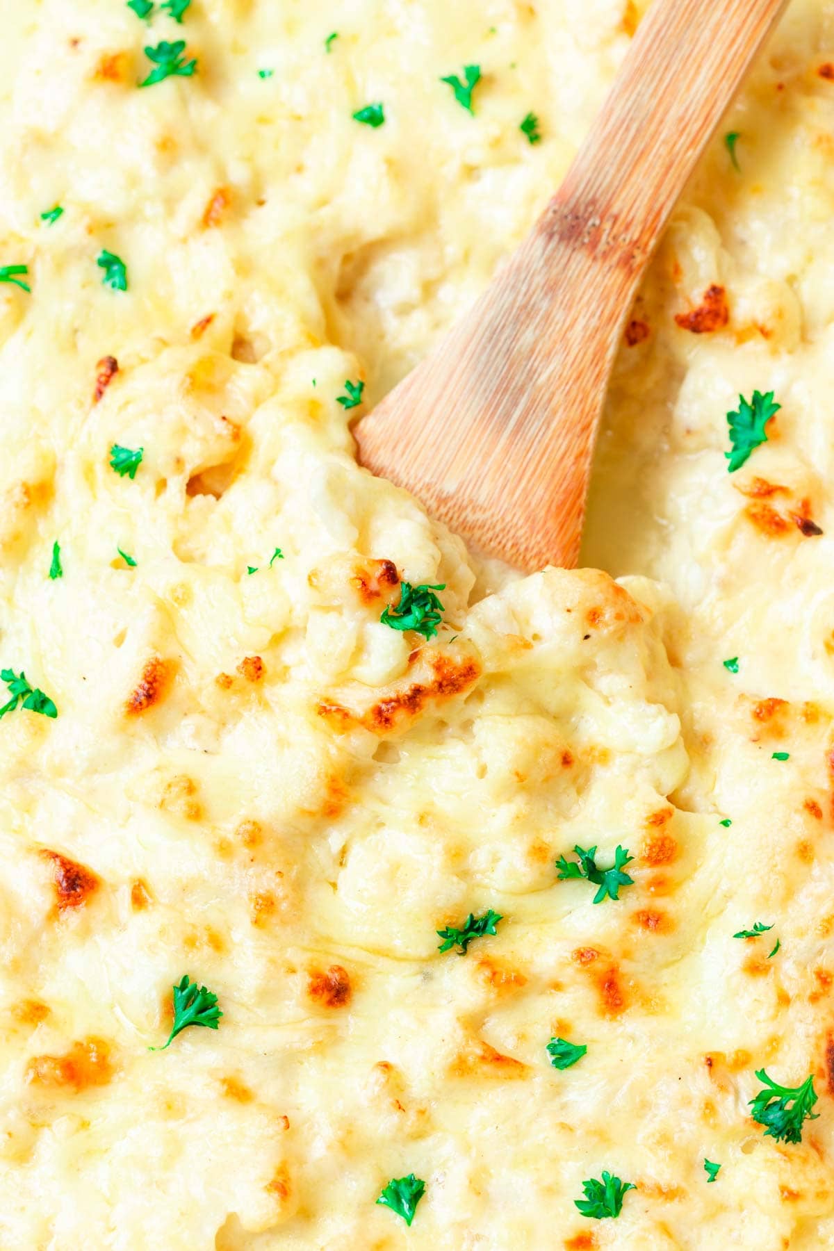 cauliflower mac and cheese with fresh herbs on top.