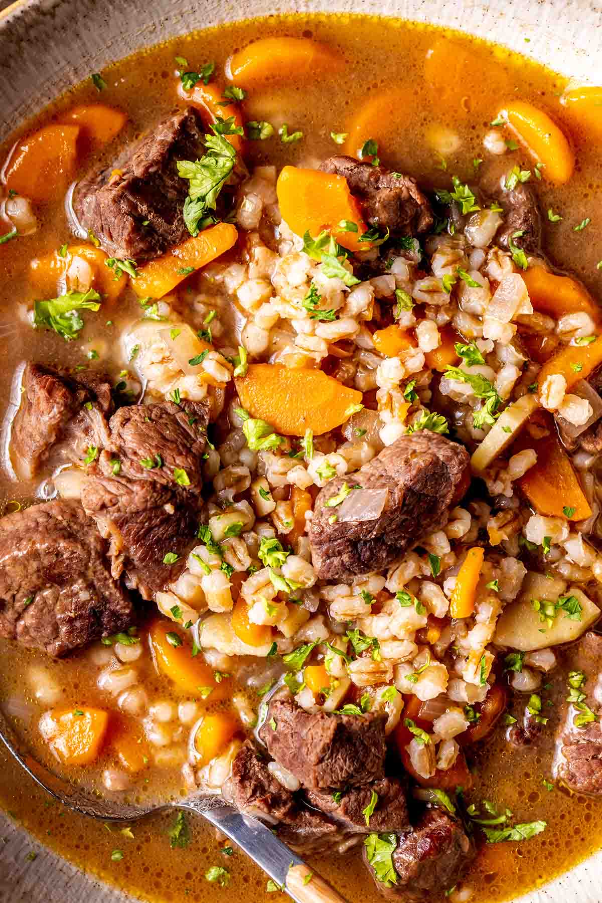 beef and barley soup with vegetables.