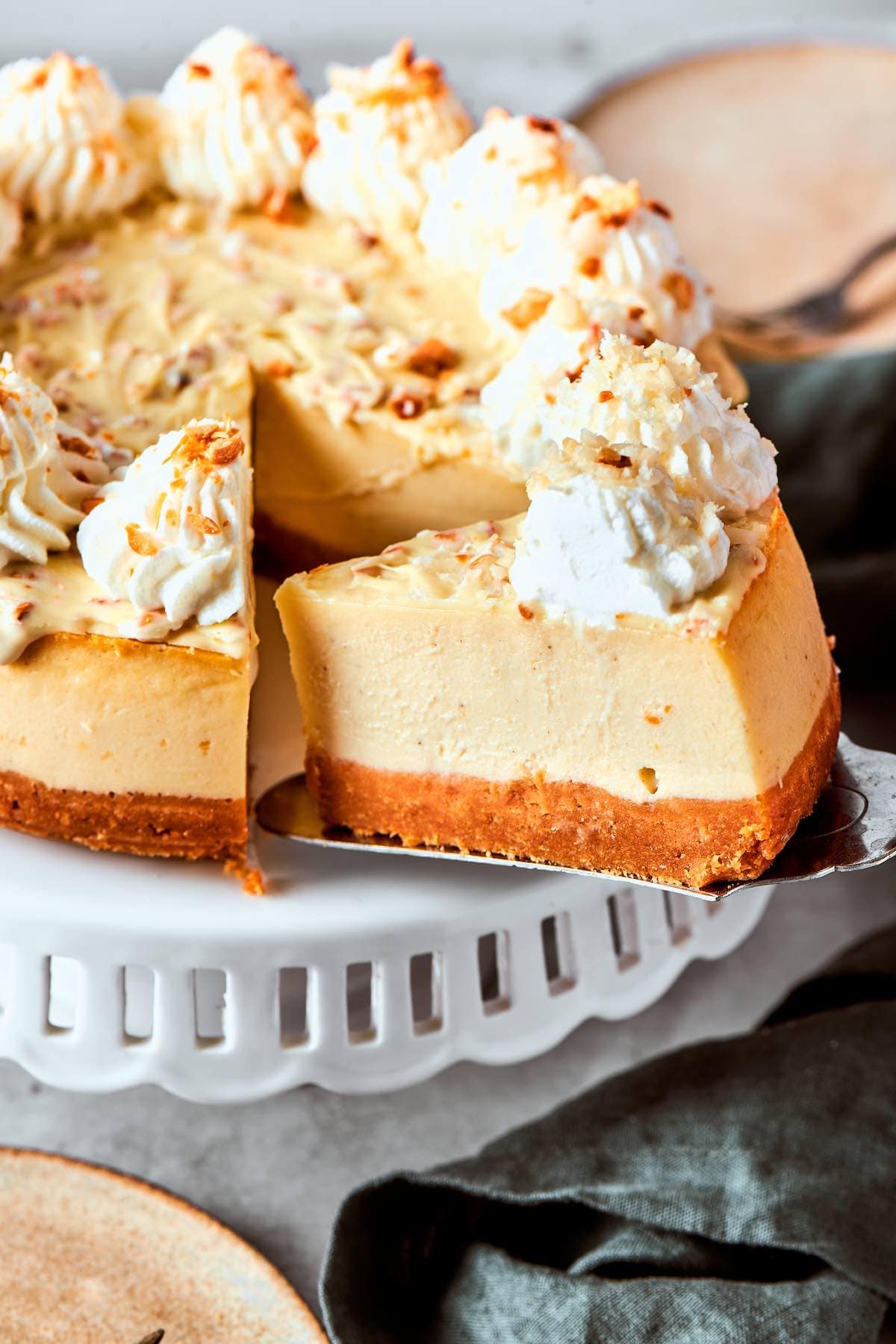 cottage cheese cheesecake with whipped cream on top.