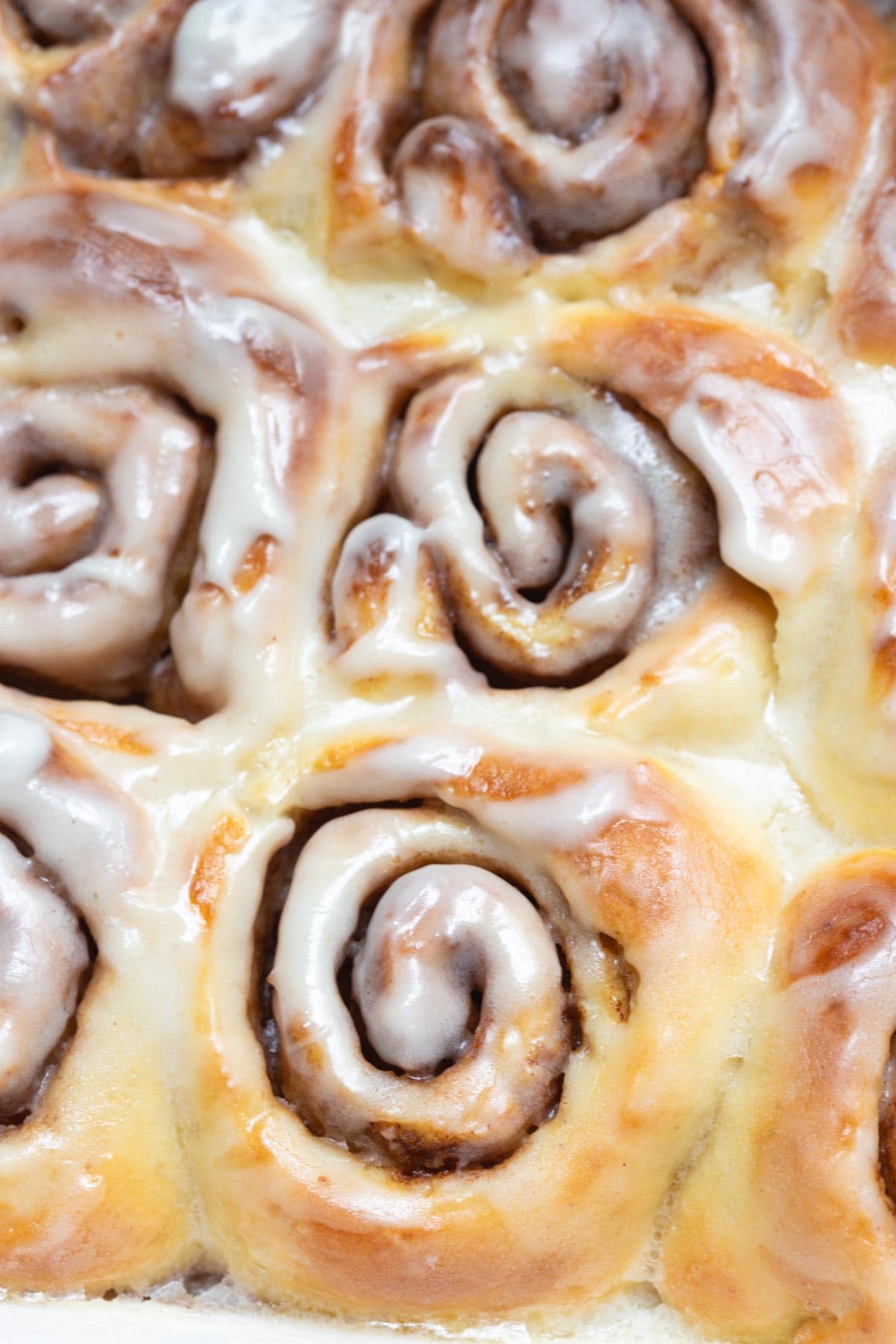 gooey vegan cinnamon rolls with vegan cream cheese frosting.