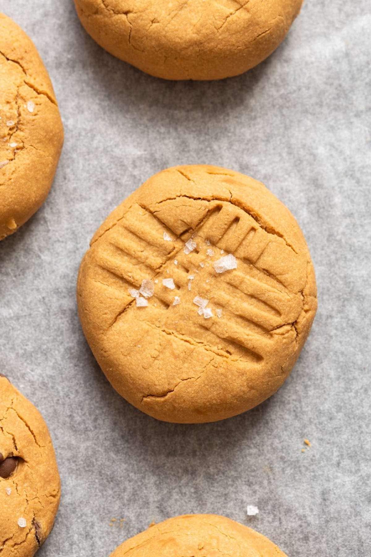 plain biscoff cookies.