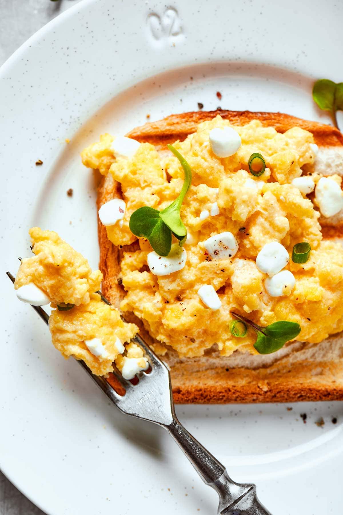 cottage cheese scrambled eggs on toast on a white plate.