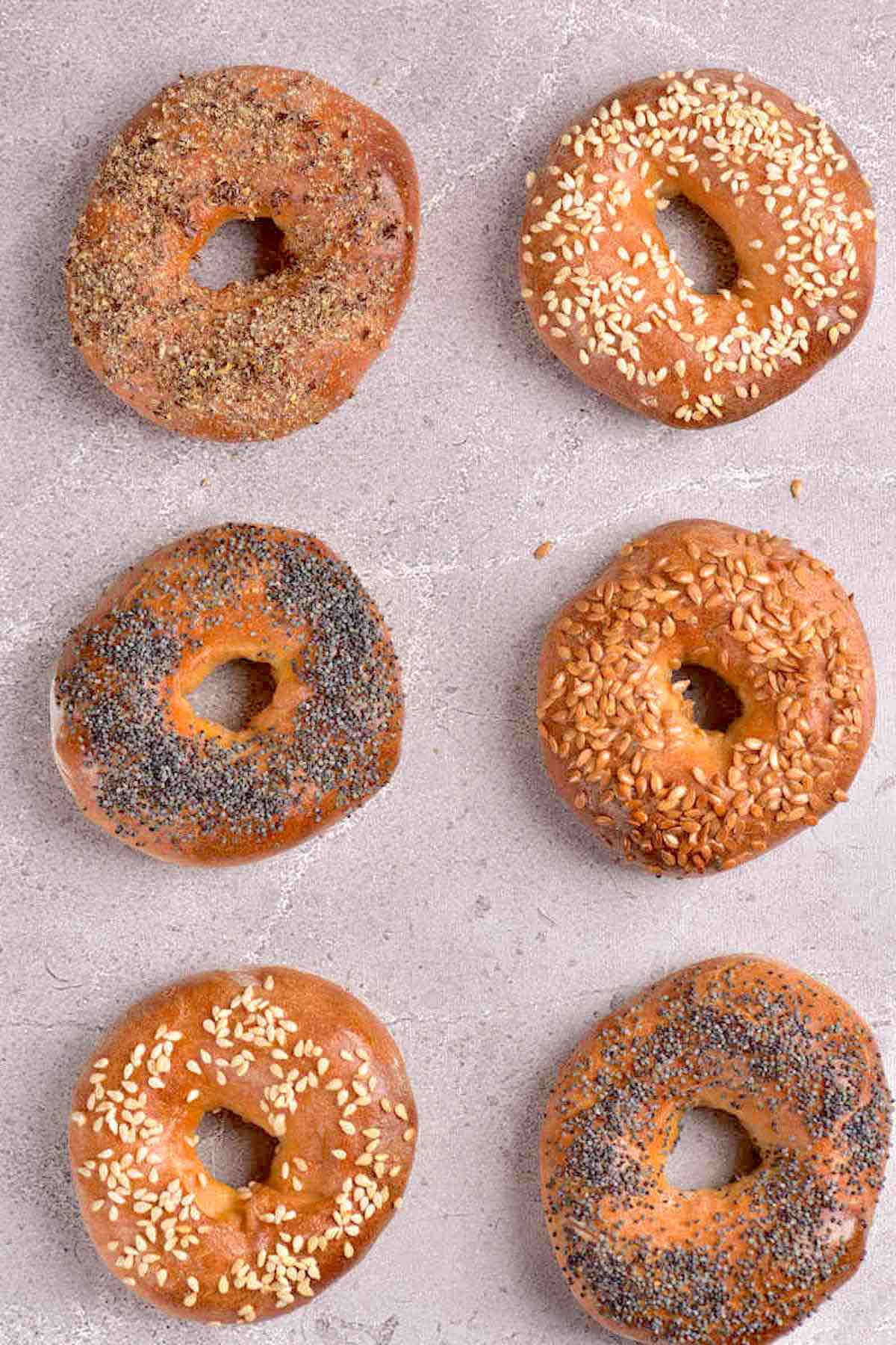 protein bagels.