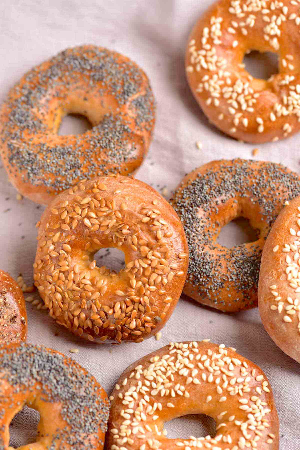 protein bagels with various toppings.