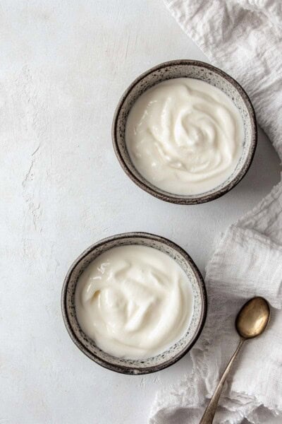 Homemade Keto Yogurt {Almost Zero Carbs} - The Big Man's World