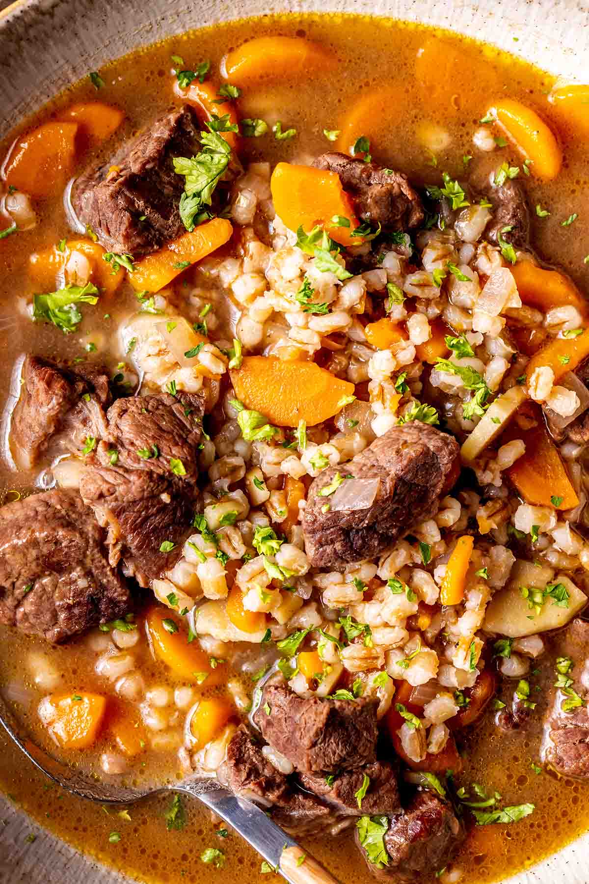 vegetable beef and barley soup.