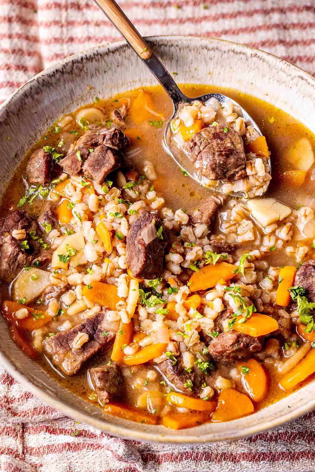 vegetable beef barley soup.