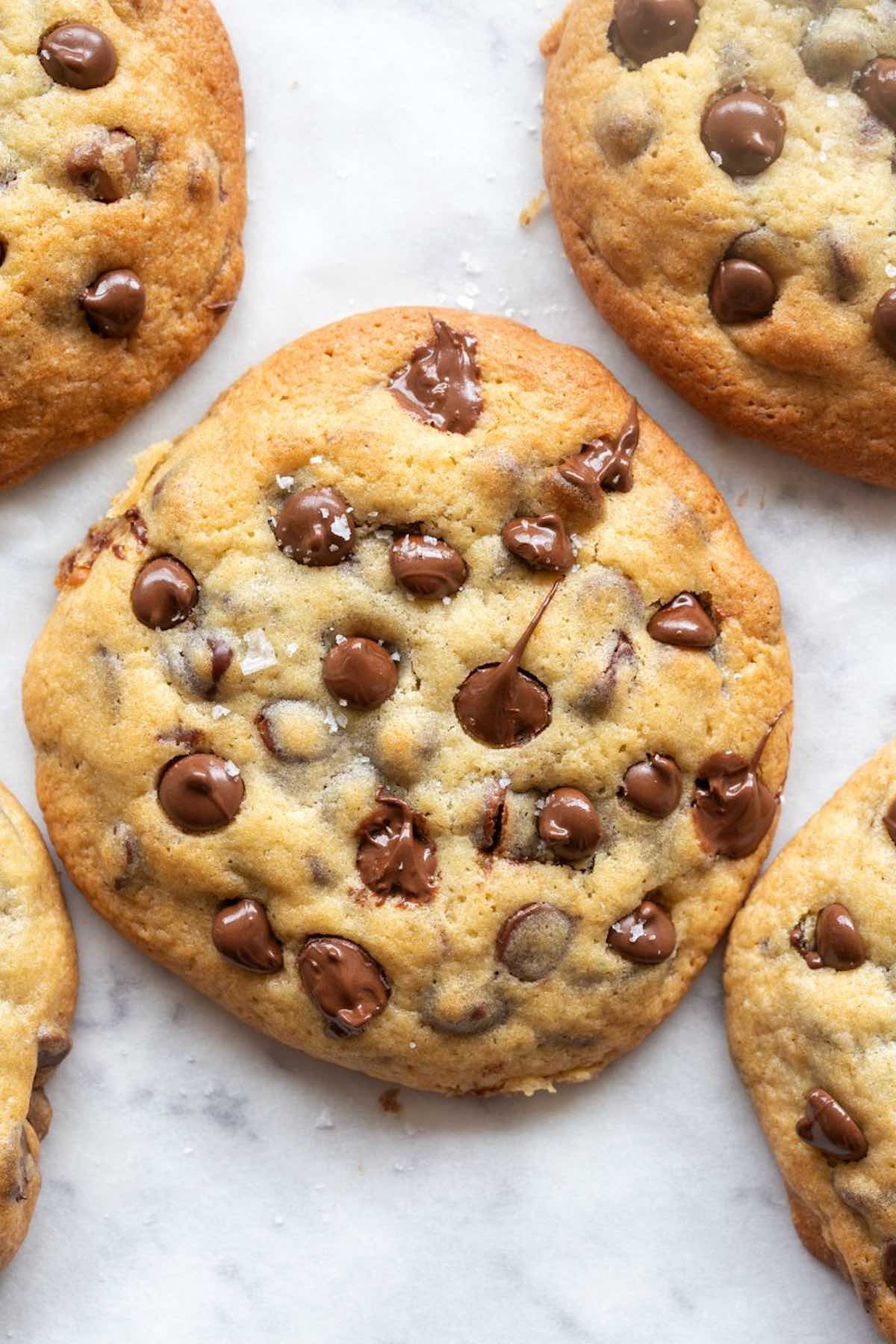 almond flour cookies with chocolate chips.