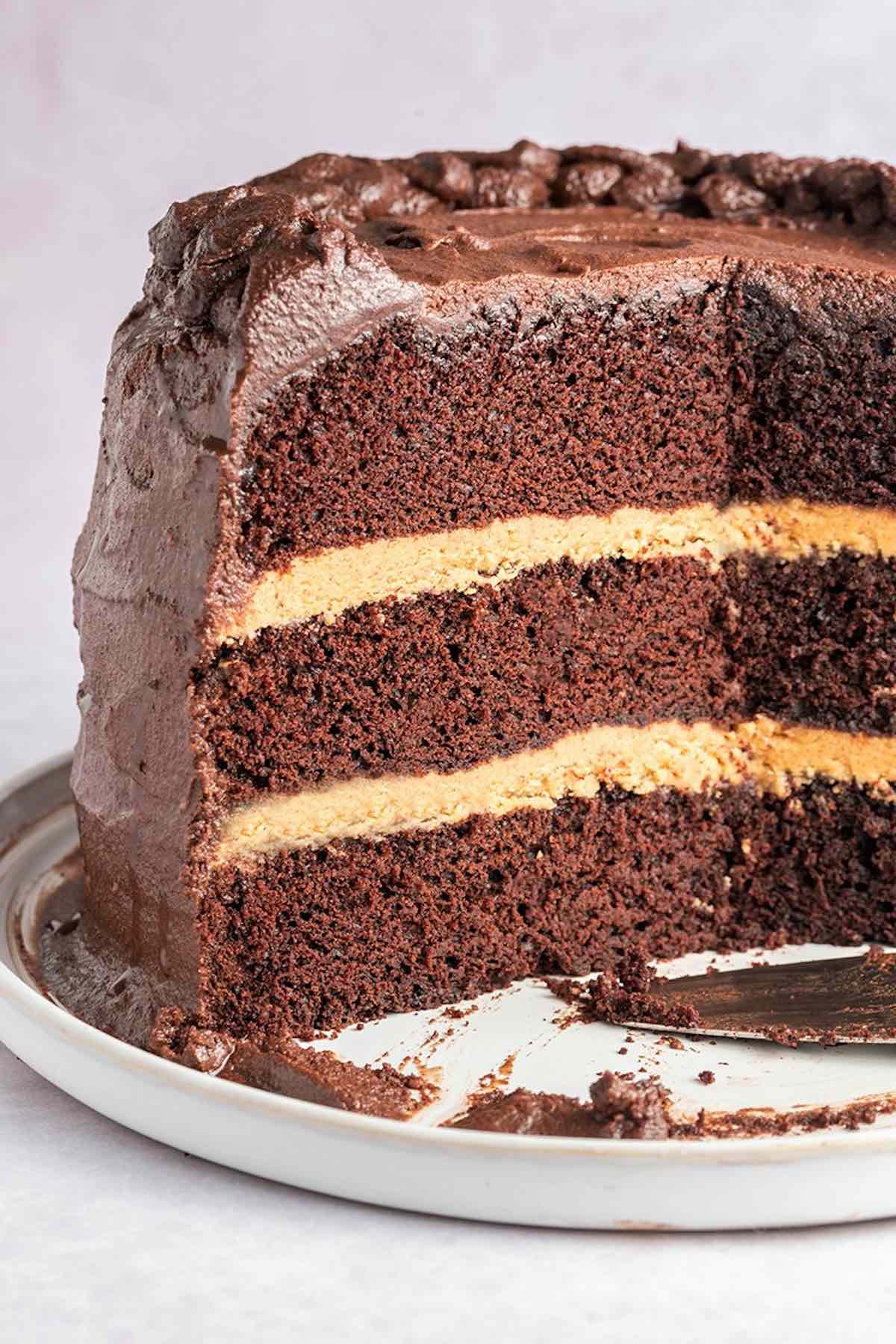 chocolate peanut butter layer cake.