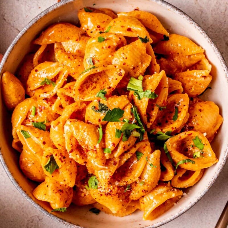 Gigi Hadid Pasta {Viral Recipe} - The Big Man's World